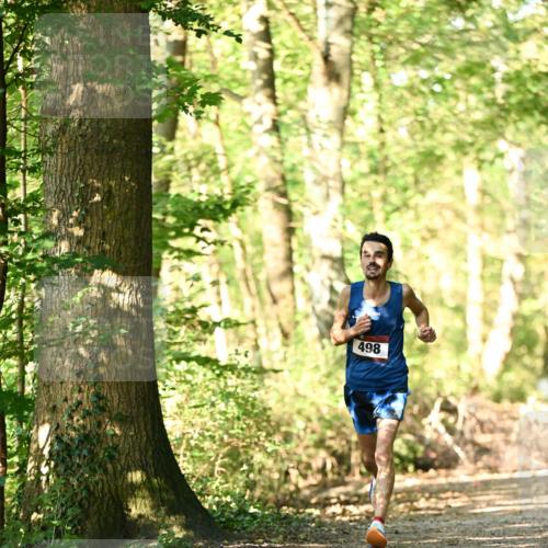 06.10.2024 - Bramfelder Halbmarathon 2024 Dr. Thomas Lammeyer http://msf.ph/oto/7335983 06.10.2024 10:06:02 Laufen 498 meine-sportfotos.de