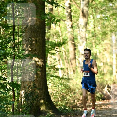 06.10.2024 - Bramfelder Halbmarathon 2024 Dr. Thomas Lammeyer http://msf.ph/oto/7335985 06.10.2024 10:06:03 Laufen 498 meine-sportfotos.de