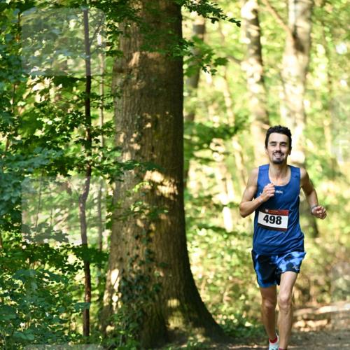 06.10.2024 - Bramfelder Halbmarathon 2024 Dr. Thomas Lammeyer http://msf.ph/oto/7335992 06.10.2024 10:06:03 Laufen 498 meine-sportfotos.de