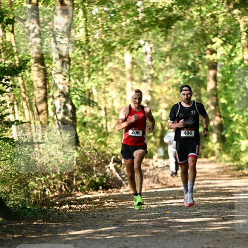 06.10.2024 - Bramfelder Halbmarathon 2024 Dr. Thomas Lammeyer http://msf.ph/oto/7336006 06.10.2024 10:07:42 Laufen 206, 404 meine-sportfotos.de