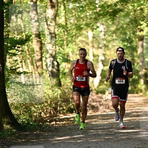 06.10.2024 - Bramfelder Halbmarathon 2024 Dr. Thomas Lammeyer http://msf.ph/oto/7336013 06.10.2024 10:07:43 Laufen 206, 404 meine-sportfotos.de