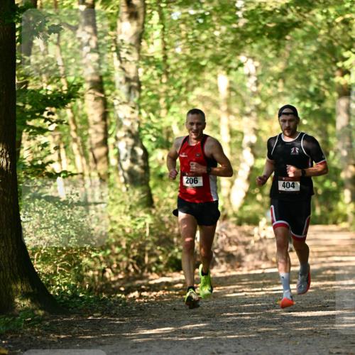 06.10.2024 - Bramfelder Halbmarathon 2024 Dr. Thomas Lammeyer http://msf.ph/oto/7336014 06.10.2024 10:07:43 Laufen 206, 404 meine-sportfotos.de