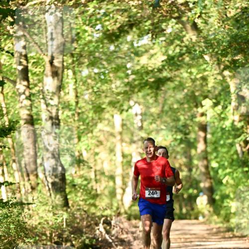 06.10.2024 - Bramfelder Halbmarathon 2024 Dr. Thomas Lammeyer http://msf.ph/oto/7336066 06.10.2024 10:08:28 Laufen 240 meine-sportfotos.de