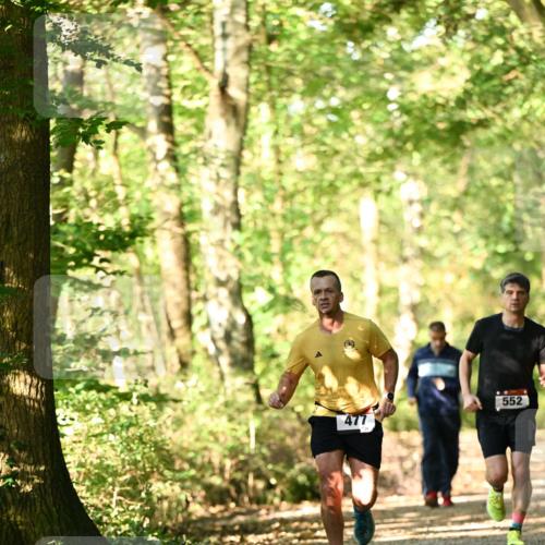 06.10.2024 - Bramfelder Halbmarathon 2024 Dr. Thomas Lammeyer http://msf.ph/oto/7336176 06.10.2024 10:10:16 Laufen 477, 552 meine-sportfotos.de
