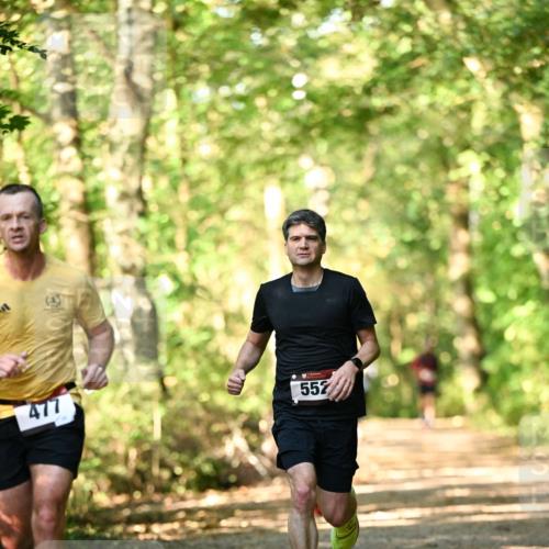 06.10.2024 - Bramfelder Halbmarathon 2024 Dr. Thomas Lammeyer http://msf.ph/oto/7336188 06.10.2024 10:10:18 Laufen 477, 552 meine-sportfotos.de
