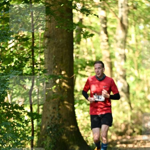 06.10.2024 - Bramfelder Halbmarathon 2024 Dr. Thomas Lammeyer http://msf.ph/oto/7336232 06.10.2024 10:11:36 Laufen 387 meine-sportfotos.de