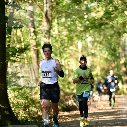 06.10.2024 - Bramfelder Halbmarathon 2024 Dr. Thomas Lammeyer http://msf.ph/oto/7336256 06.10.2024 10:11:47 Laufen 214, 250 meine-sportfotos.de