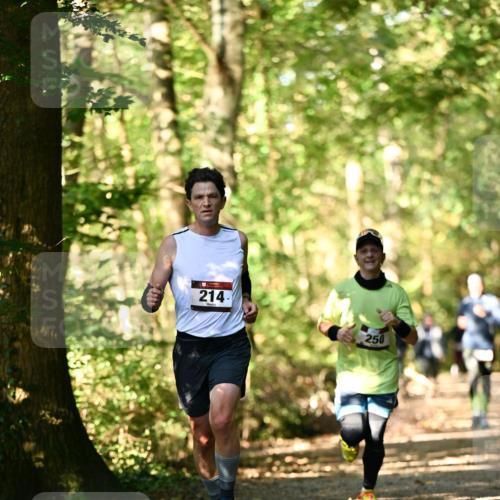 06.10.2024 - Bramfelder Halbmarathon 2024 Dr. Thomas Lammeyer http://msf.ph/oto/7336258 06.10.2024 10:11:48 Laufen 214, 250 meine-sportfotos.de
