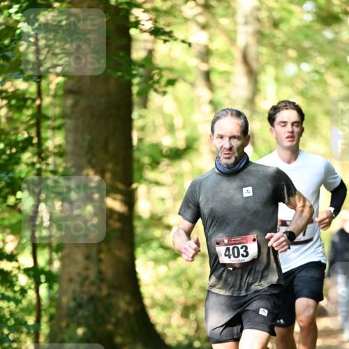 06.10.2024 - Bramfelder Halbmarathon 2024 Dr. Thomas Lammeyer http://msf.ph/oto/7336340 06.10.2024 10:12:19 Laufen 403 meine-sportfotos.de