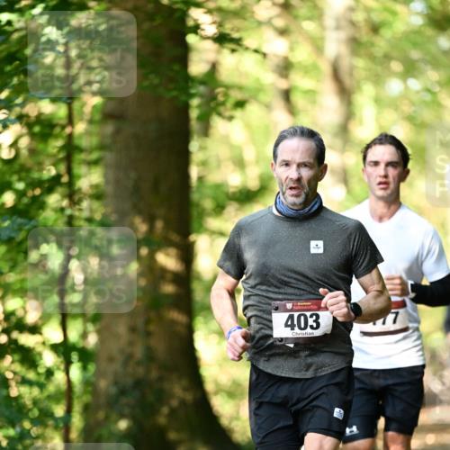 06.10.2024 - Bramfelder Halbmarathon 2024 Dr. Thomas Lammeyer http://msf.ph/oto/7336342 06.10.2024 10:12:19 Laufen 33, 403 meine-sportfotos.de