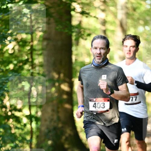 06.10.2024 - Bramfelder Halbmarathon 2024 Dr. Thomas Lammeyer http://msf.ph/oto/7336343 06.10.2024 10:12:19 Laufen 403, 77 meine-sportfotos.de