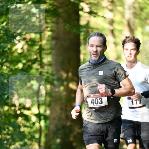 06.10.2024 - Bramfelder Halbmarathon 2024 Dr. Thomas Lammeyer http://msf.ph/oto/7336344 06.10.2024 10:12:19 Laufen 403, 177 meine-sportfotos.de