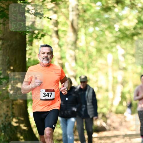 06.10.2024 - Bramfelder Halbmarathon 2024 Dr. Thomas Lammeyer http://msf.ph/oto/7336355 06.10.2024 10:12:28 Laufen 35, 347 meine-sportfotos.de