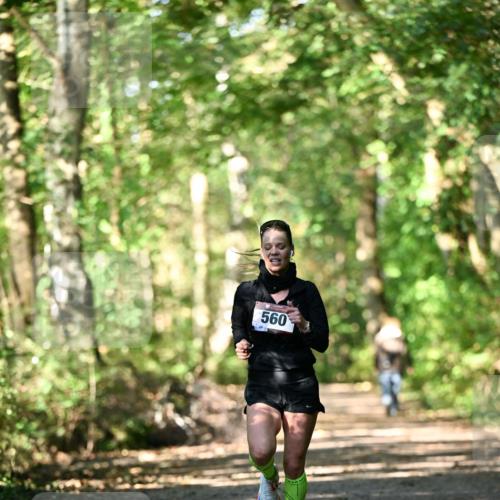 06.10.2024 - Bramfelder Halbmarathon 2024 Dr. Thomas Lammeyer http://msf.ph/oto/7336361 06.10.2024 10:12:43 Laufen 560 meine-sportfotos.de