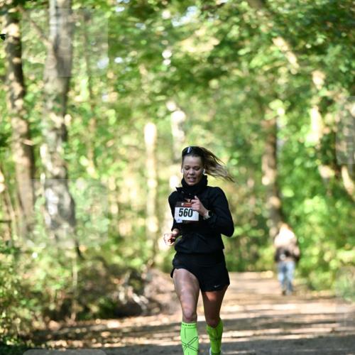 06.10.2024 - Bramfelder Halbmarathon 2024 Dr. Thomas Lammeyer http://msf.ph/oto/7336362 06.10.2024 10:12:43 Laufen 560 meine-sportfotos.de