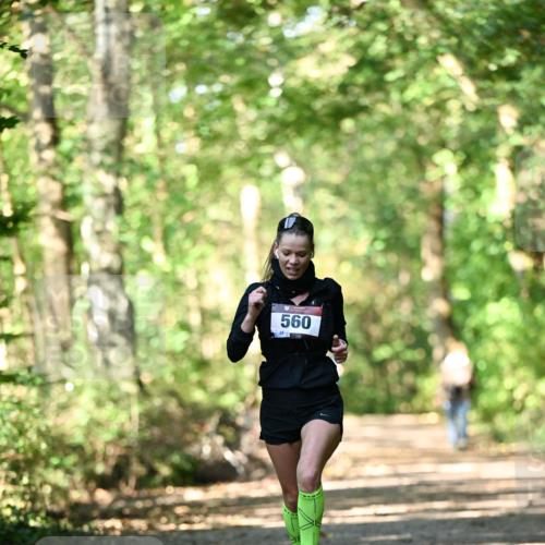06.10.2024 - Bramfelder Halbmarathon 2024 Dr. Thomas Lammeyer http://msf.ph/oto/7336364 06.10.2024 10:12:43 Laufen 560 meine-sportfotos.de