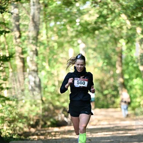 06.10.2024 - Bramfelder Halbmarathon 2024 Dr. Thomas Lammeyer http://msf.ph/oto/7336365 06.10.2024 10:12:43 Laufen 560 meine-sportfotos.de