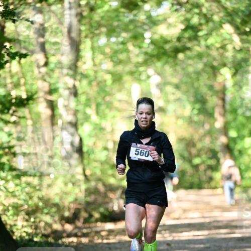 06.10.2024 - Bramfelder Halbmarathon 2024 Dr. Thomas Lammeyer http://msf.ph/oto/7336366 06.10.2024 10:12:43 Laufen 560 meine-sportfotos.de