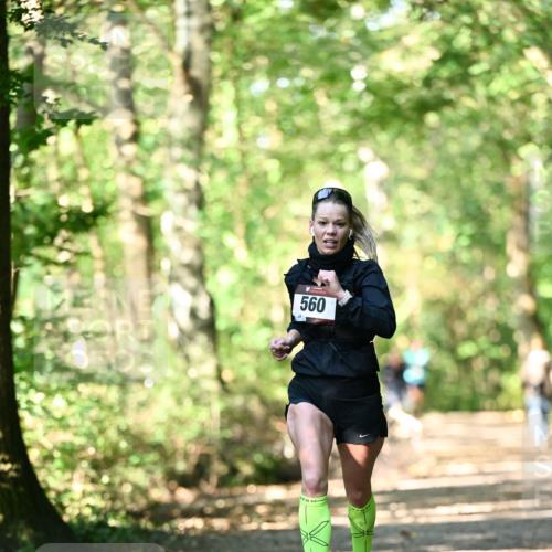 06.10.2024 - Bramfelder Halbmarathon 2024 Dr. Thomas Lammeyer http://msf.ph/oto/7336367 06.10.2024 10:12:44 Laufen 560 meine-sportfotos.de