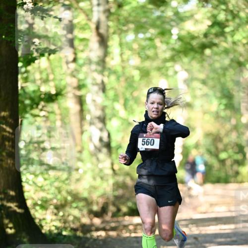 06.10.2024 - Bramfelder Halbmarathon 2024 Dr. Thomas Lammeyer http://msf.ph/oto/7336368 06.10.2024 10:12:44 Laufen 560 meine-sportfotos.de