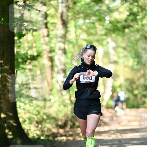 06.10.2024 - Bramfelder Halbmarathon 2024 Dr. Thomas Lammeyer http://msf.ph/oto/7336370 06.10.2024 10:12:44 Laufen 500 meine-sportfotos.de