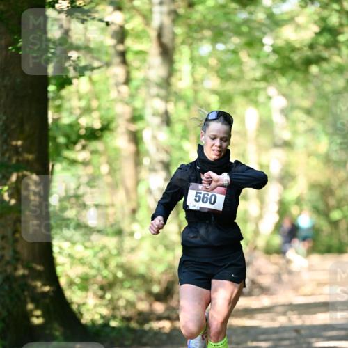 06.10.2024 - Bramfelder Halbmarathon 2024 Dr. Thomas Lammeyer http://msf.ph/oto/7336371 06.10.2024 10:12:44 Laufen 560 meine-sportfotos.de