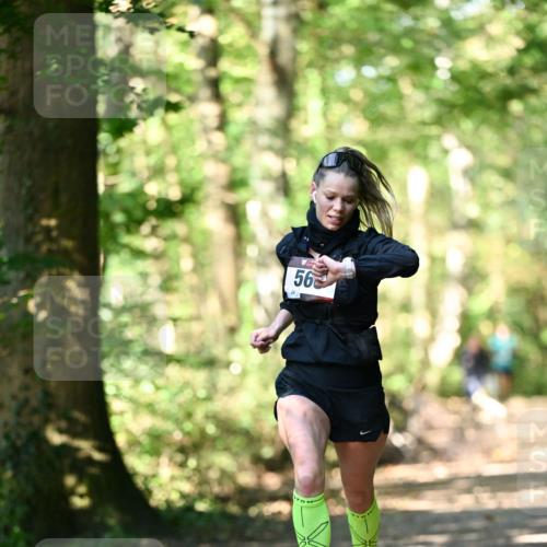 06.10.2024 - Bramfelder Halbmarathon 2024 Dr. Thomas Lammeyer http://msf.ph/oto/7336372 06.10.2024 10:12:44 Laufen 56 meine-sportfotos.de
