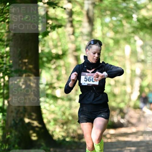 06.10.2024 - Bramfelder Halbmarathon 2024 Dr. Thomas Lammeyer http://msf.ph/oto/7336374 06.10.2024 10:12:45 Laufen 560 meine-sportfotos.de