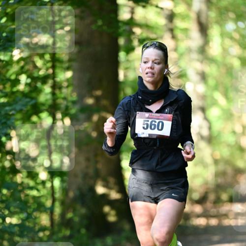 06.10.2024 - Bramfelder Halbmarathon 2024 Dr. Thomas Lammeyer http://msf.ph/oto/7336379 06.10.2024 10:12:45 Laufen 560 meine-sportfotos.de