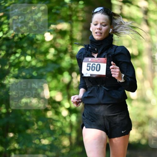 06.10.2024 - Bramfelder Halbmarathon 2024 Dr. Thomas Lammeyer http://msf.ph/oto/7336383 06.10.2024 10:12:46 Laufen 560 meine-sportfotos.de