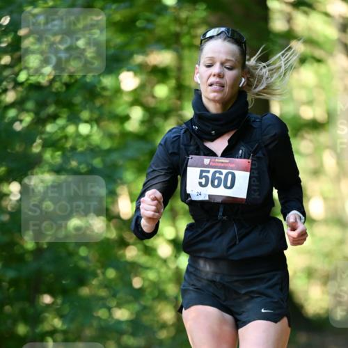 06.10.2024 - Bramfelder Halbmarathon 2024 Dr. Thomas Lammeyer http://msf.ph/oto/7336384 06.10.2024 10:12:46 Laufen 33, 560, 24 meine-sportfotos.de