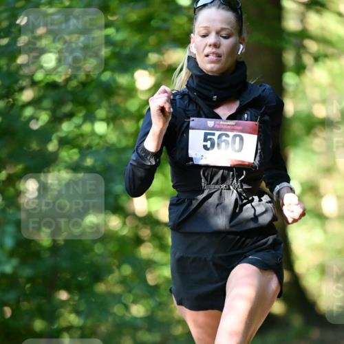 06.10.2024 - Bramfelder Halbmarathon 2024 Dr. Thomas Lammeyer http://msf.ph/oto/7336385 06.10.2024 10:12:46 Laufen 33, 560 meine-sportfotos.de