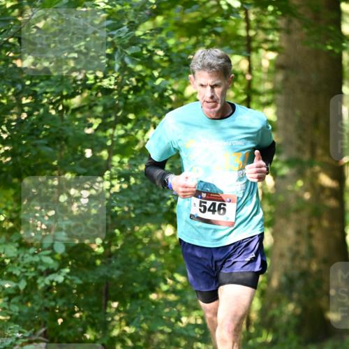 06.10.2024 - Bramfelder Halbmarathon 2024 Dr. Thomas Lammeyer http://msf.ph/oto/7336398 06.10.2024 10:13:08 Laufen 546 meine-sportfotos.de