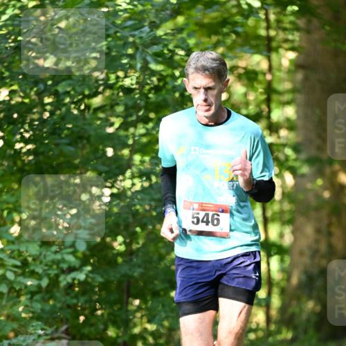 06.10.2024 - Bramfelder Halbmarathon 2024 Dr. Thomas Lammeyer http://msf.ph/oto/7336399 06.10.2024 10:13:08 Laufen 546 meine-sportfotos.de