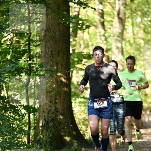 06.10.2024 - Bramfelder Halbmarathon 2024 Dr. Thomas Lammeyer http://msf.ph/oto/7336426 06.10.2024 10:13:49 Laufen 28, 164, 98 meine-sportfotos.de