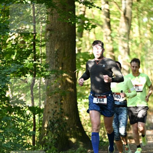 06.10.2024 - Bramfelder Halbmarathon 2024 Dr. Thomas Lammeyer http://msf.ph/oto/7336427 06.10.2024 10:13:50 Laufen 164, 563, 88 meine-sportfotos.de