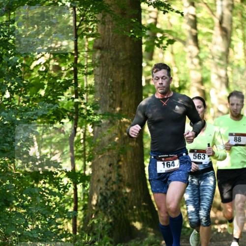 06.10.2024 - Bramfelder Halbmarathon 2024 Dr. Thomas Lammeyer http://msf.ph/oto/7336429 06.10.2024 10:13:50 Laufen 164, 563, 88 meine-sportfotos.de