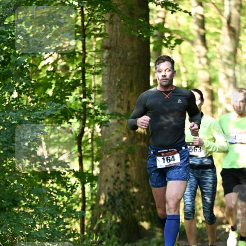 06.10.2024 - Bramfelder Halbmarathon 2024 Dr. Thomas Lammeyer http://msf.ph/oto/7336430 06.10.2024 10:13:50 Laufen 164, 563 meine-sportfotos.de