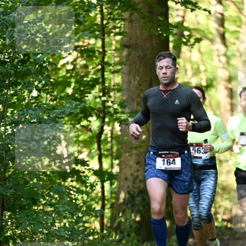 06.10.2024 - Bramfelder Halbmarathon 2024 Dr. Thomas Lammeyer http://msf.ph/oto/7336432 06.10.2024 10:13:50 Laufen 563, 164 meine-sportfotos.de