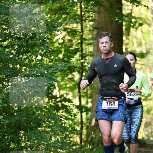 06.10.2024 - Bramfelder Halbmarathon 2024 Dr. Thomas Lammeyer http://msf.ph/oto/7336434 06.10.2024 10:13:51 Laufen 164, 563, 28 meine-sportfotos.de