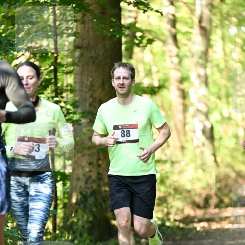 06.10.2024 - Bramfelder Halbmarathon 2024 Dr. Thomas Lammeyer http://msf.ph/oto/7336439 06.10.2024 10:13:52 Laufen 3, 88 meine-sportfotos.de