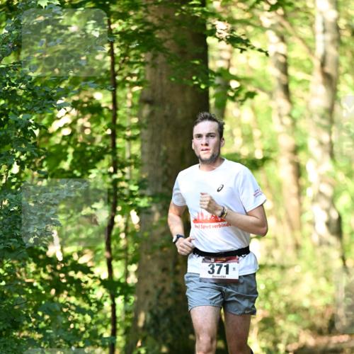 06.10.2024 - Bramfelder Halbmarathon 2024 Dr. Thomas Lammeyer http://msf.ph/oto/7336502 06.10.2024 10:14:24 Laufen 371 meine-sportfotos.de