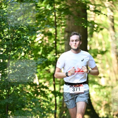 06.10.2024 - Bramfelder Halbmarathon 2024 Dr. Thomas Lammeyer http://msf.ph/oto/7336505 06.10.2024 10:14:25 Laufen 371 meine-sportfotos.de