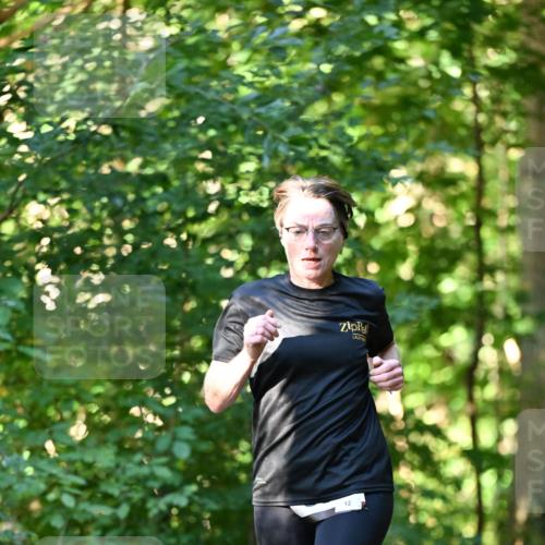 06.10.2024 - Bramfelder Halbmarathon 2024 Dr. Thomas Lammeyer http://msf.ph/oto/7336540 06.10.2024 10:14:33 Laufen 12 meine-sportfotos.de