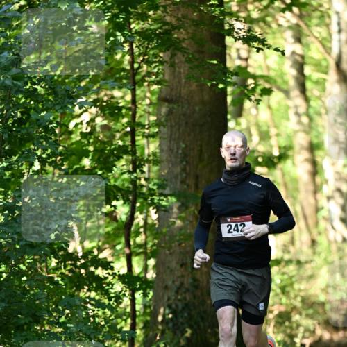 06.10.2024 - Bramfelder Halbmarathon 2024 Dr. Thomas Lammeyer http://msf.ph/oto/7336546 06.10.2024 10:14:53 Laufen 242 meine-sportfotos.de