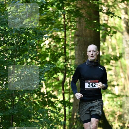 06.10.2024 - Bramfelder Halbmarathon 2024 Dr. Thomas Lammeyer http://msf.ph/oto/7336549 06.10.2024 10:14:54 Laufen 242 meine-sportfotos.de
