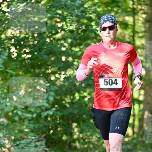 06.10.2024 - Bramfelder Halbmarathon 2024 Dr. Thomas Lammeyer http://msf.ph/oto/7336570 06.10.2024 10:15:00 Laufen 504 meine-sportfotos.de