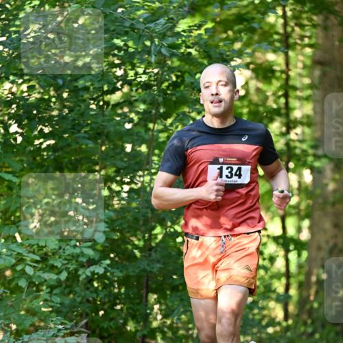 06.10.2024 - Bramfelder Halbmarathon 2024 Dr. Thomas Lammeyer http://msf.ph/oto/7336586 06.10.2024 10:15:16 Laufen 33, 134 meine-sportfotos.de