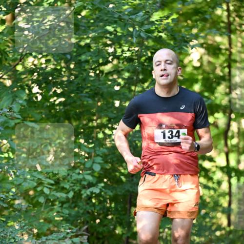 06.10.2024 - Bramfelder Halbmarathon 2024 Dr. Thomas Lammeyer http://msf.ph/oto/7336587 06.10.2024 10:15:16 Laufen 134 meine-sportfotos.de