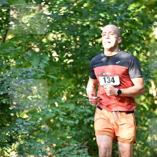 06.10.2024 - Bramfelder Halbmarathon 2024 Dr. Thomas Lammeyer http://msf.ph/oto/7336589 06.10.2024 10:15:16 Laufen 134 meine-sportfotos.de